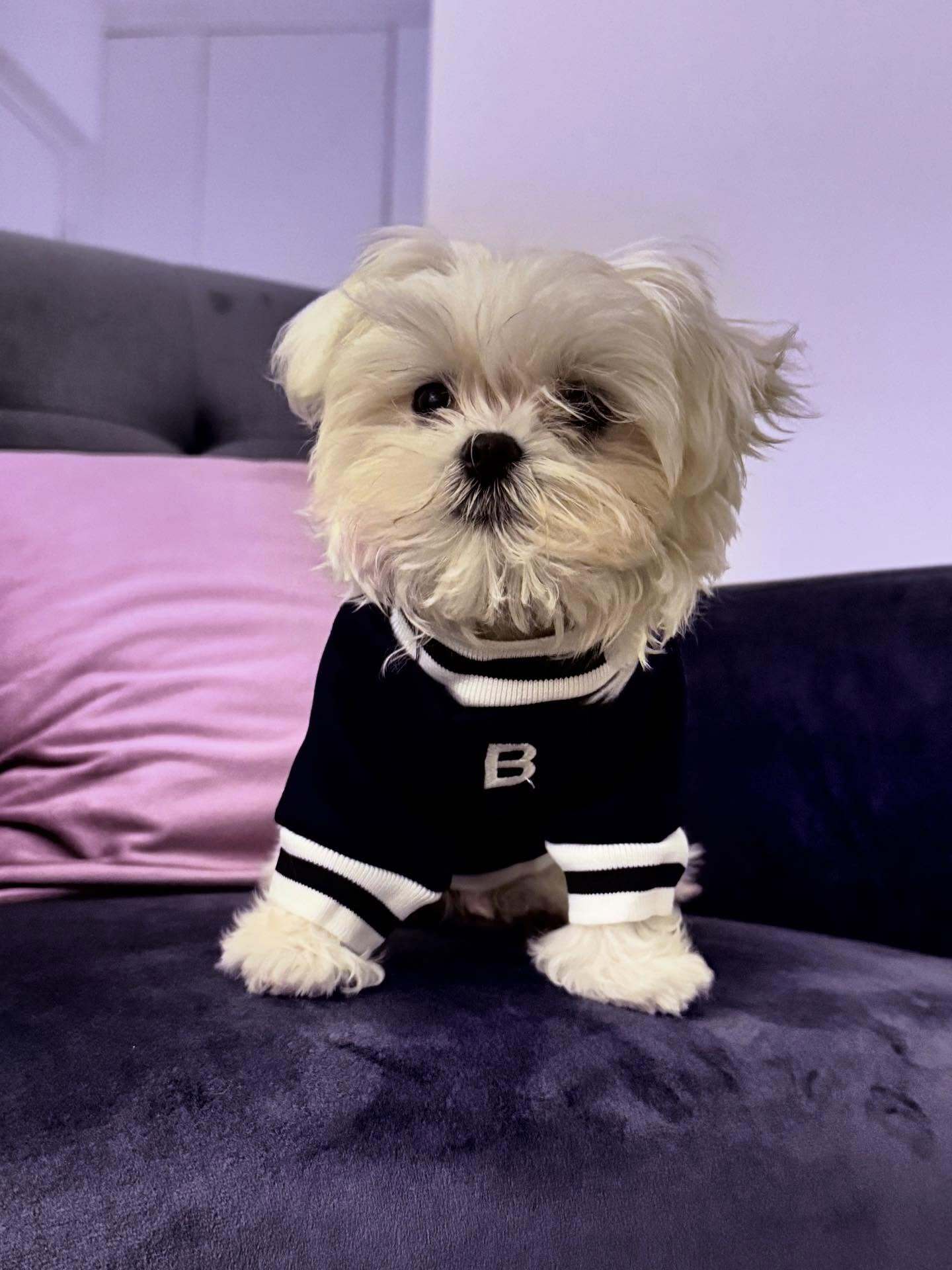 Berlioz