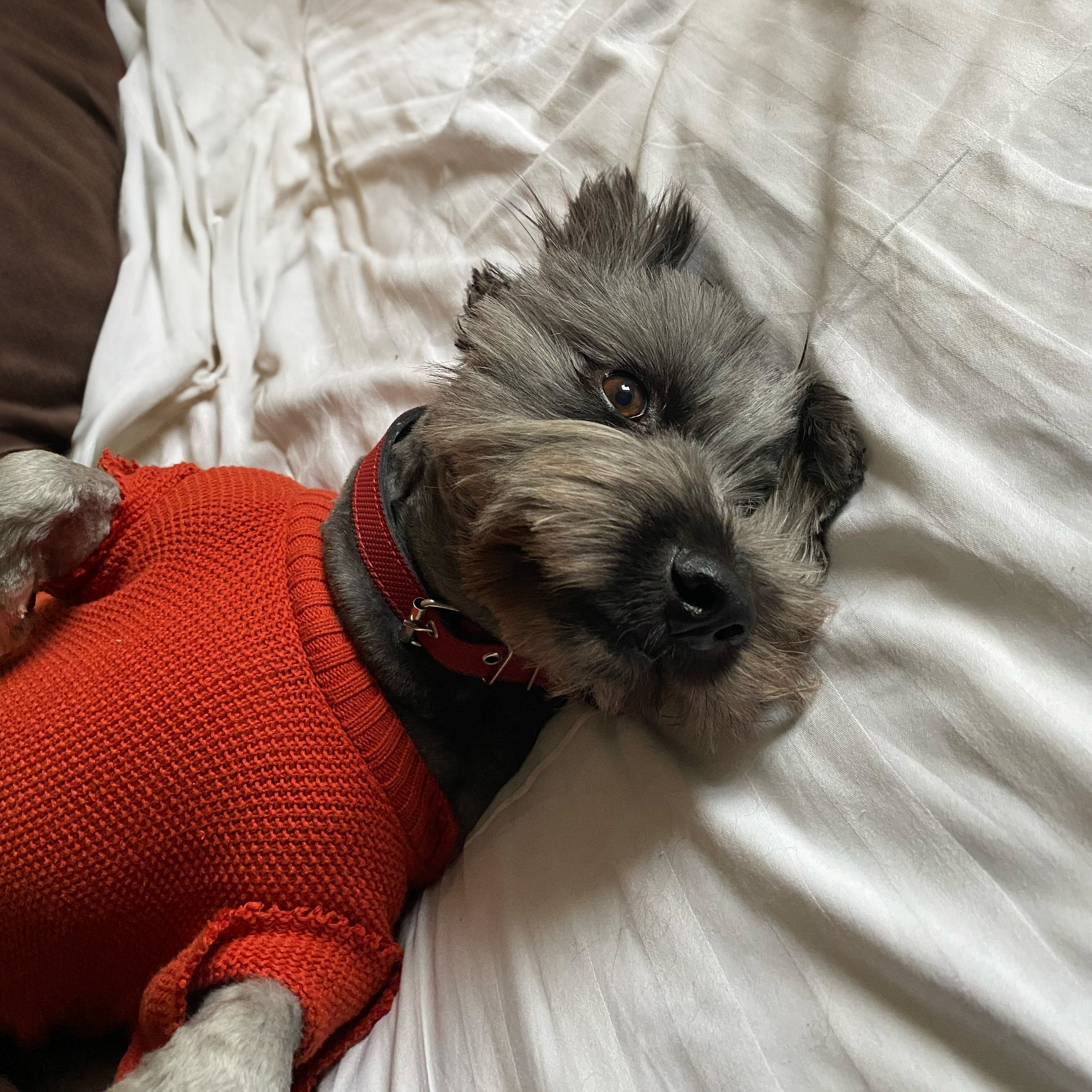Charlie