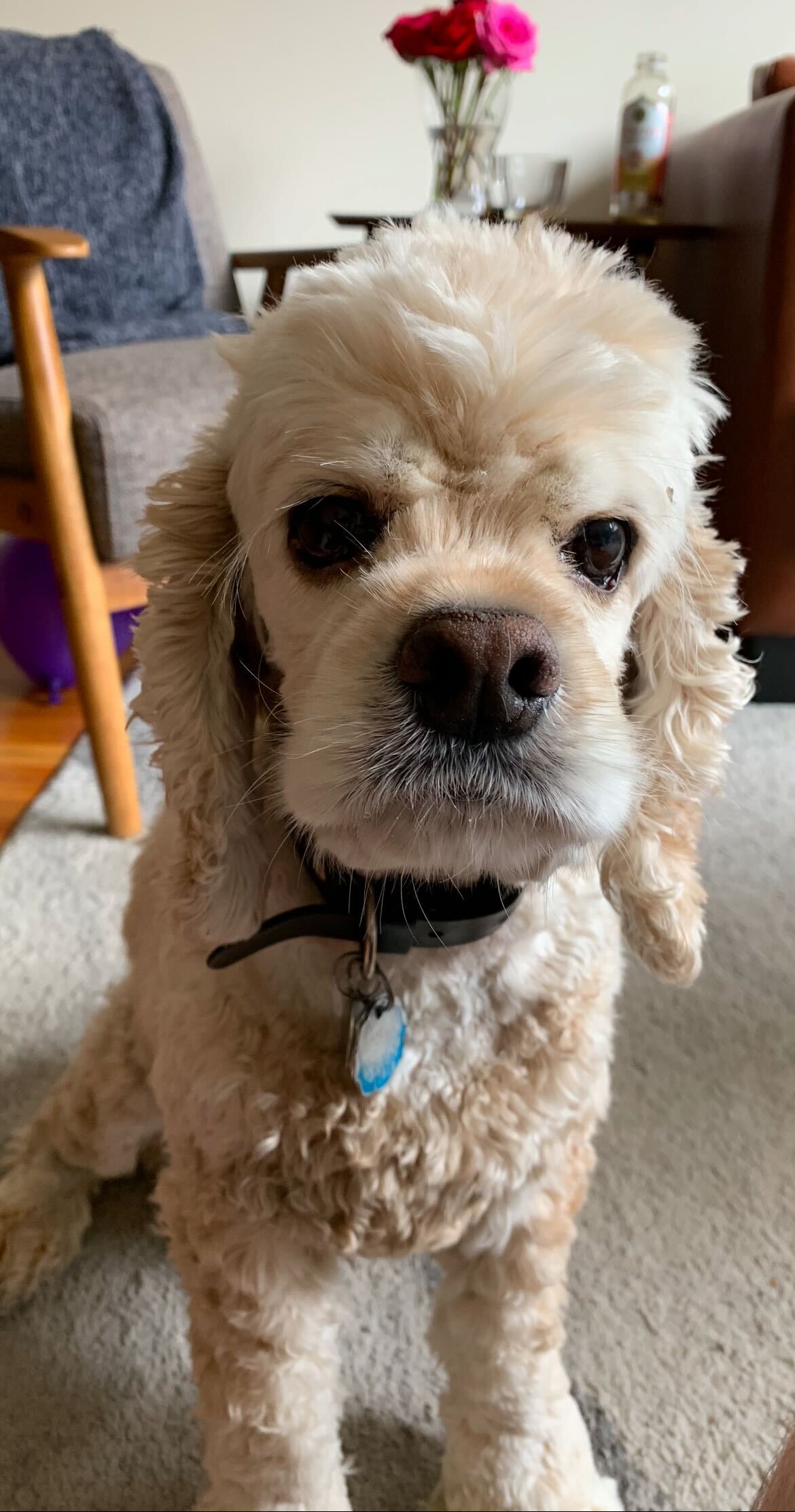 Oliver