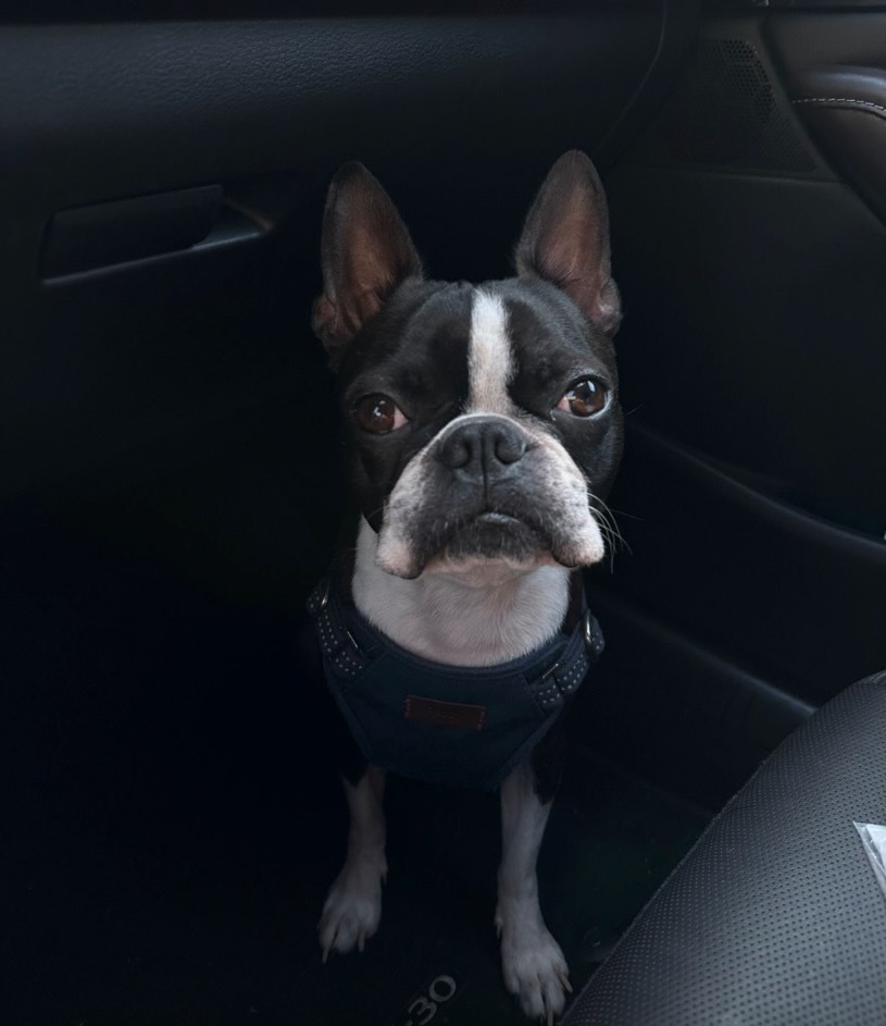 Winston (a.k.a "El Chato")