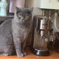 Winston